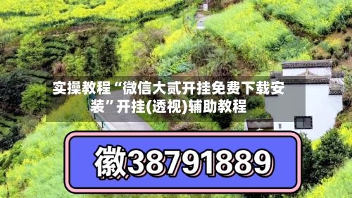 实操教程“微信大贰开挂免费下载安装”开挂(透视)辅助教程-第3张图片