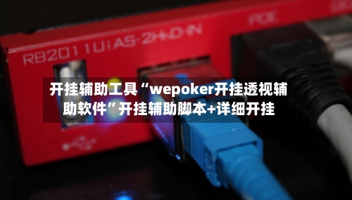 开挂辅助工具“wepoker开挂透视辅助软件”开挂辅助脚本+详细开挂-第3张图片