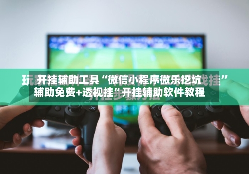 开挂辅助工具“微信小程序微乐挖坑辅助免费+透视挂”开挂辅助软件教程-第3张图片