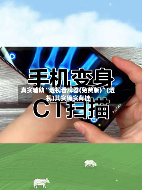 真实辅助“透视看牌器(免费版)	”(透视)其实确实有挂-第2张图片