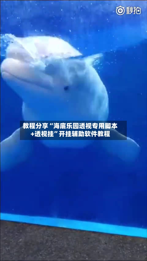 教程分享“海底乐园透视专用脚本+透视挂”开挂辅助软件教程