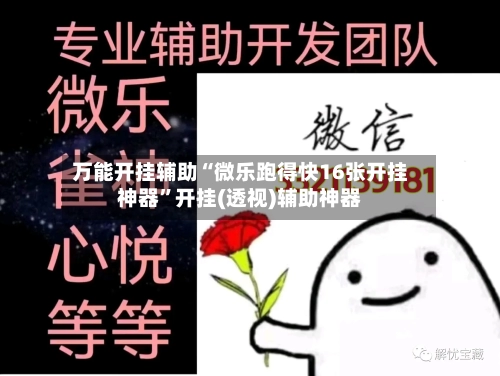 万能开挂辅助“微乐跑得快16张开挂神器”开挂(透视)辅助神器-第3张图片