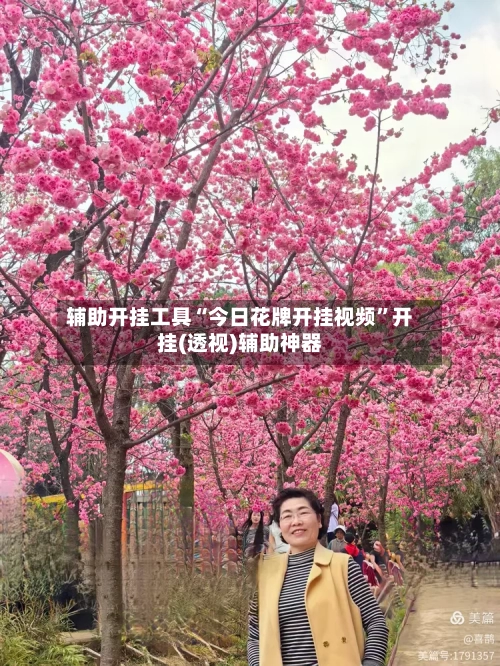 辅助开挂工具“今日花牌开挂视频	”开挂(透视)辅助神器-第2张图片