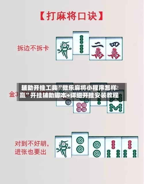辅助开挂工具“微乐麻将小程序怎样赢”开挂辅助脚本+详细开挂安装教程-第3张图片