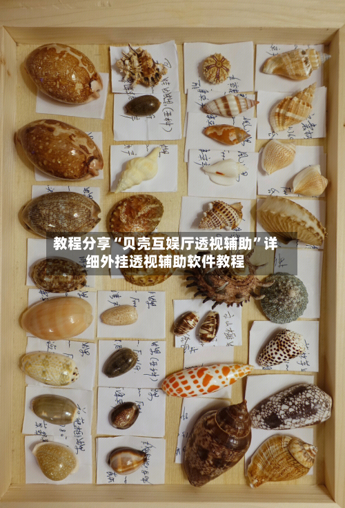 教程分享“贝壳互娱厅透视辅助”详细外挂透视辅助软件教程-第2张图片