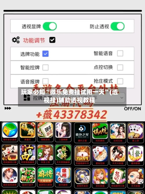 玩家必知“微乐免费挂试用一天”(透视挂)辅助透视教程-第3张图片
