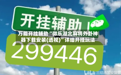 万能开挂辅助“微乐湖北麻将外卦神器下载安装(透视)”详细开挂玩法-第3张图片