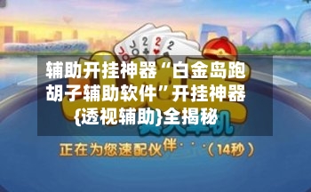 辅助开挂神器“白金岛跑胡子辅助软件	”开挂神器{透视辅助}全揭秘-第2张图片