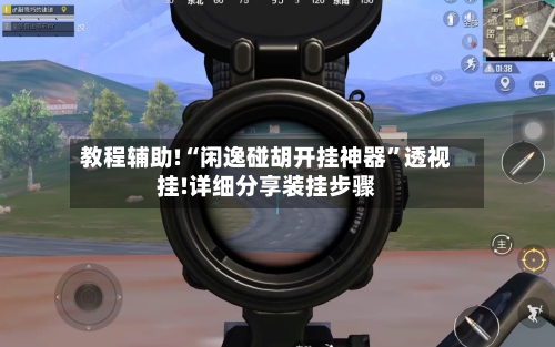 教程辅助!“闲逸碰胡开挂神器”透视挂!详细分享装挂步骤