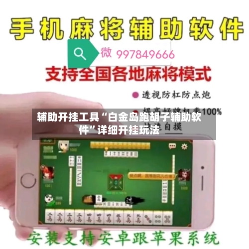 辅助开挂工具“白金岛跑胡子辅助软件”详细开挂玩法-第2张图片