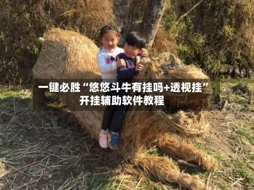 一键必胜“悠悠斗牛有挂吗+透视挂”开挂辅助软件教程-第3张图片