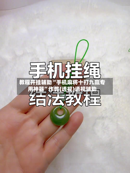 教程开挂辅助“手机麻将十打九赢专用神器”作弊(透视)透视辅助-第3张图片