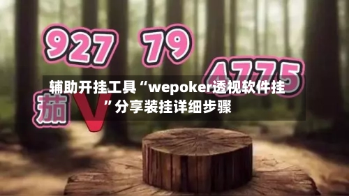 辅助开挂工具“wepoker透视软件挂”分享装挂详细步骤-第2张图片