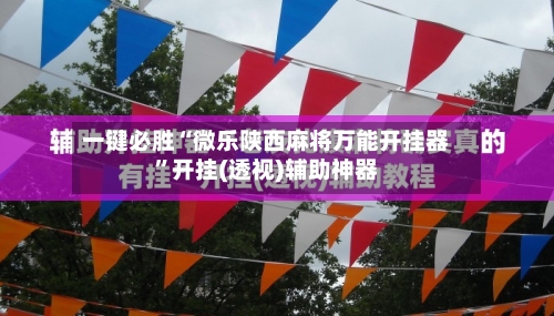 一键必胜“微乐陕西麻将万能开挂器”开挂(透视)辅助神器-第3张图片