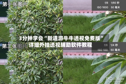 3分钟学会“新道游牛牛透视免费版”详细外挂透视辅助软件教程-第2张图片