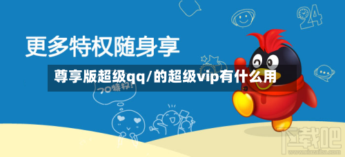 尊享版超级qq/的超级vip有什么用-第2张图片