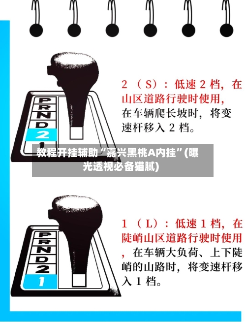 教程开挂辅助“嘉兴黑桃A内挂	”(曝光透视必备猫腻)-第2张图片