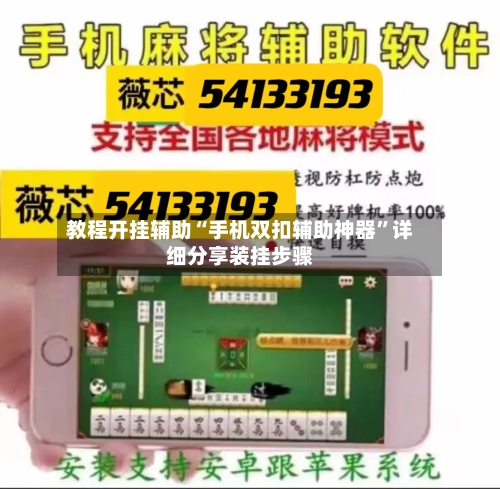 教程开挂辅助“手机双扣辅助神器	”详细分享装挂步骤-第2张图片
