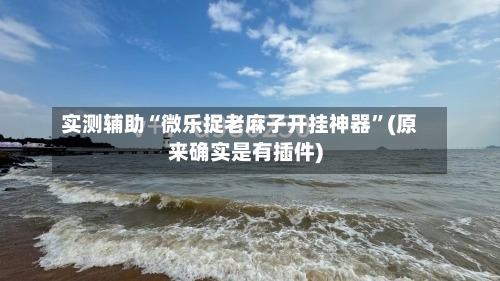 实测辅助“微乐捉老麻子开挂神器”(原来确实是有插件)