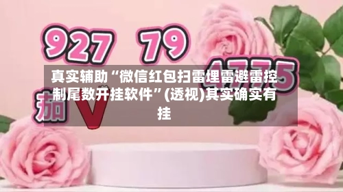 真实辅助“微信红包扫雷埋雷避雷控制尾数开挂软件”(透视)其实确实有挂-第2张图片