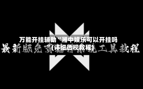 万能开挂辅助“湘中娱乐可以开挂吗”(详细透视教程)-第2张图片