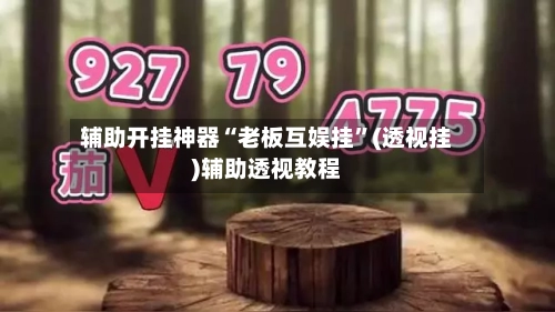 辅助开挂神器“老板互娱挂”(透视挂)辅助透视教程-第2张图片