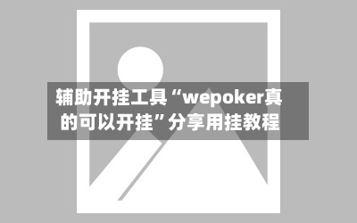辅助开挂工具“wepoker真的可以开挂”分享用挂教程-第3张图片