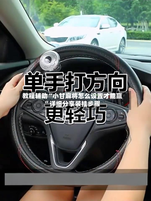 教程辅助“小甘麻将怎么设置才能赢”详细分享装挂步骤-第3张图片