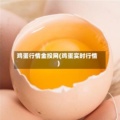 鸡蛋行情金投网(鸡蛋实时行情)