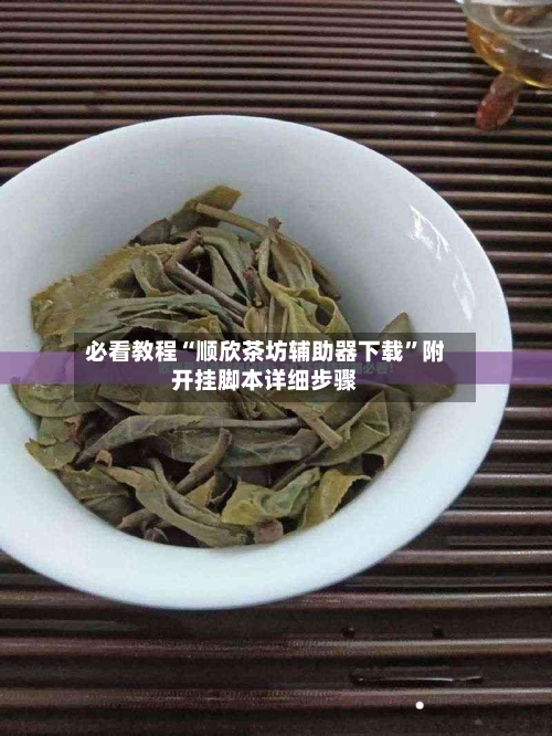 必看教程“顺欣茶坊辅助器下载”附开挂脚本详细步骤