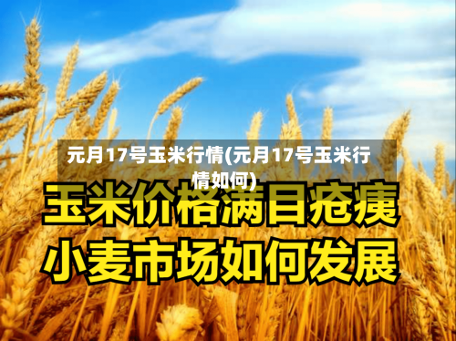 元月17号玉米行情(元月17号玉米行情如何)