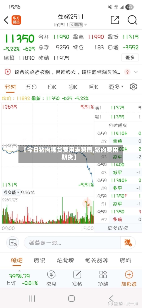 【今日猪肉期货费用走势图,猪肉费用 期货】