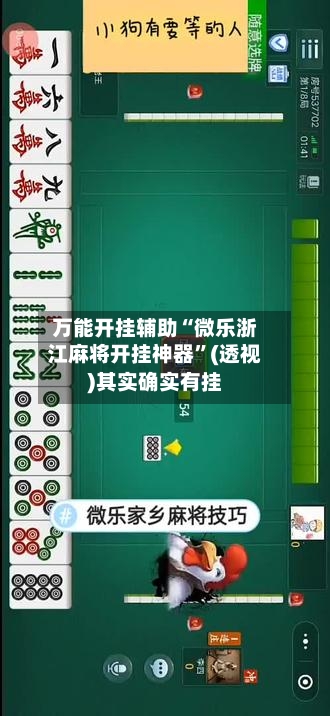 万能开挂辅助“微乐浙江麻将开挂神器”(透视)其实确实有挂-第3张图片