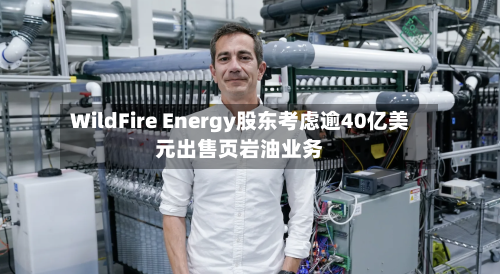 WildFire Energy股东考虑逾40亿美元出售页岩油业务-第3张图片