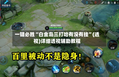一键必胜“白金岛三打哈有没有挂”(透视)详细透视辅助教程-第3张图片