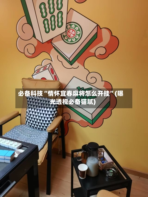 必备科技“情怀宜春麻将怎么开挂”(曝光透视必备猫腻)-第2张图片