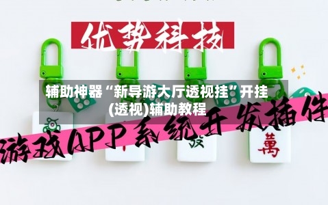 辅助神器“新导游大厅透视挂”开挂(透视)辅助教程-第3张图片