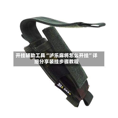 开挂辅助工具“泸乐麻将怎么开挂”详细分享装挂步骤教程-第2张图片