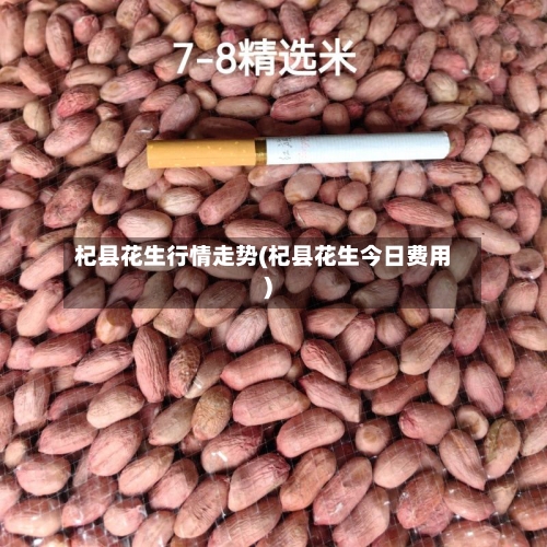 杞县花生行情走势(杞县花生今日费用)-第3张图片