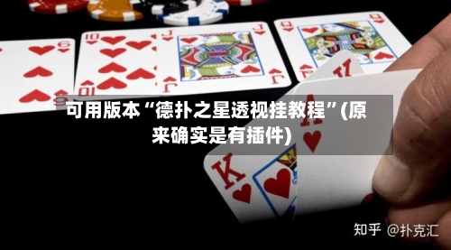 可用版本“德扑之星透视挂教程”(原来确实是有插件)-第2张图片