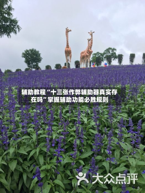 辅助教程“十三张作弊辅助器真实存在吗	”掌握辅助功能必胜规则-第2张图片