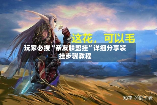 玩家必搜“亲友联盟挂”详细分享装挂步骤教程-第2张图片