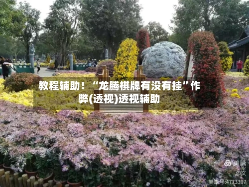 教程辅助！“龙腾棋牌有没有挂	”作弊(透视)透视辅助-第3张图片