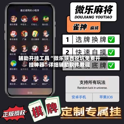 辅助开挂工具“微乐陕西挖坑免费开挂神器”详细辅助软件教程-第2张图片