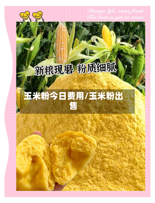 玉米粉今日费用/玉米粉出售