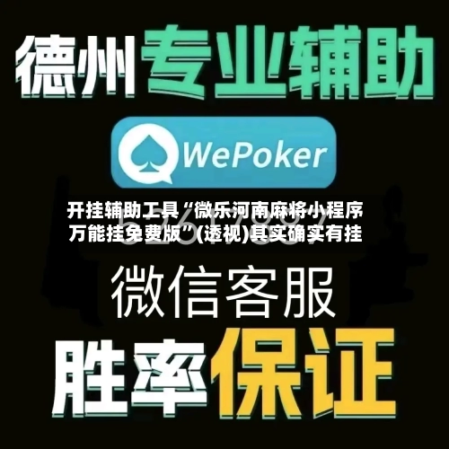 开挂辅助工具“微乐河南麻将小程序万能挂免费版”(透视)其实确实有挂-第3张图片