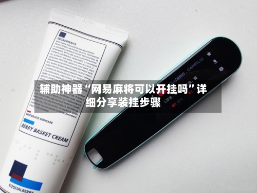 辅助神器“网易麻将可以开挂吗”详细分享装挂步骤-第3张图片