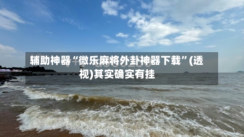 辅助神器“微乐麻将外卦神器下载”(透视)其实确实有挂-第3张图片