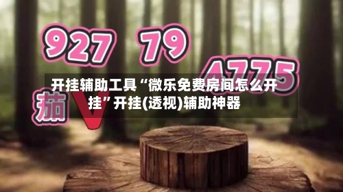开挂辅助工具“微乐免费房间怎么开挂”开挂(透视)辅助神器-第2张图片