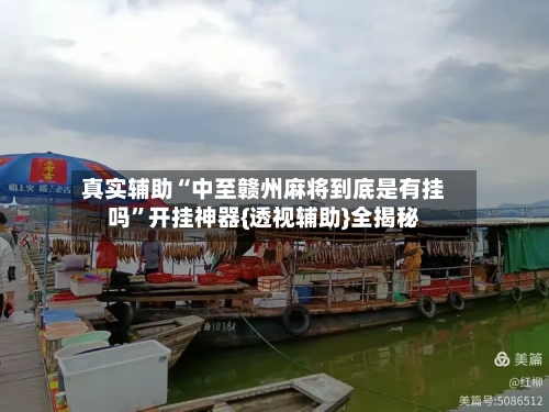 真实辅助“中至赣州麻将到底是有挂吗”开挂神器{透视辅助}全揭秘-第3张图片